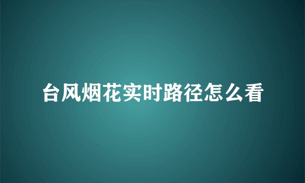 台风烟花实时路径怎么看
