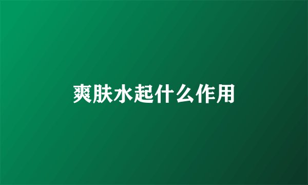 爽肤水起什么作用