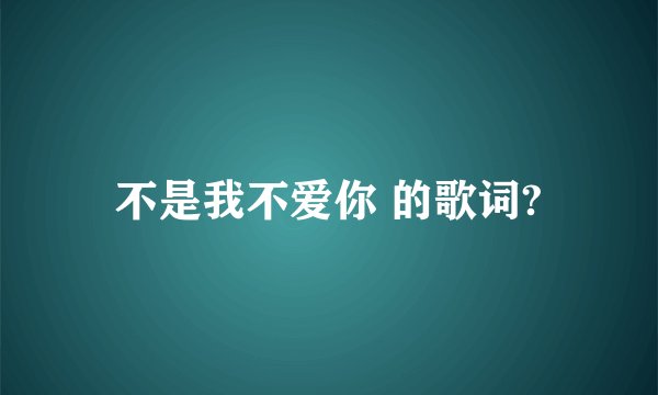 不是我不爱你 的歌词?