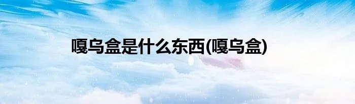 嘎乌盒是什么东西(嘎乌盒)
