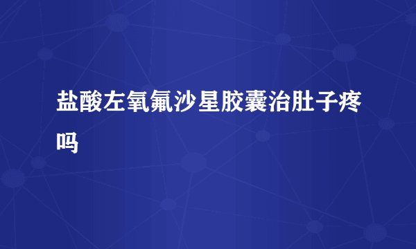 盐酸左氧氟沙星胶囊治肚子疼吗