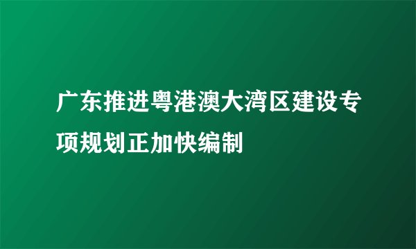 广东推进粤港澳大湾区建设专项规划正加快编制