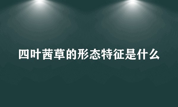 四叶茜草的形态特征是什么