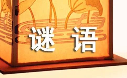 打一成语谜语
