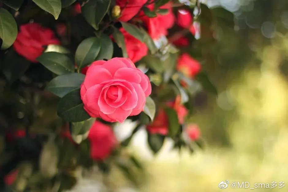 闽侯一中贴吧
