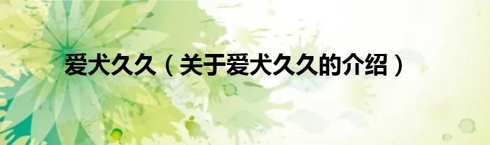 爱犬久久（关于爱犬久久的介绍）