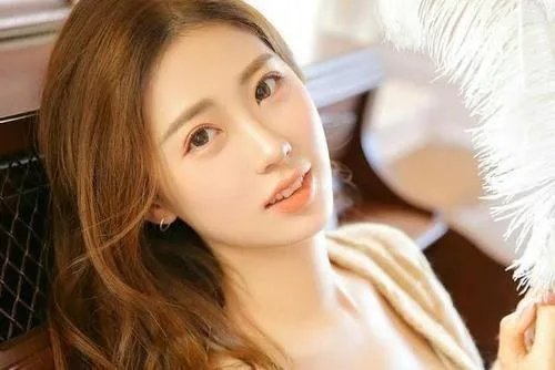 含蓄是什么意思?