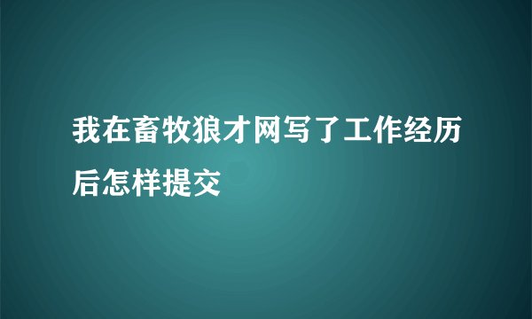 我在畜牧狼才网写了工作经历后怎样提交