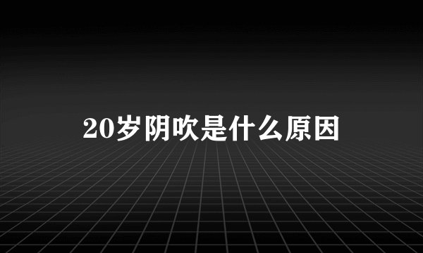 20岁阴吹是什么原因
