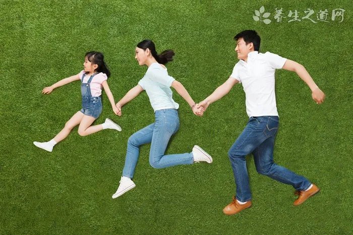 博美不听话怎么办