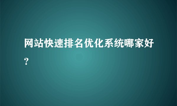 网站快速排名优化系统哪家好？
