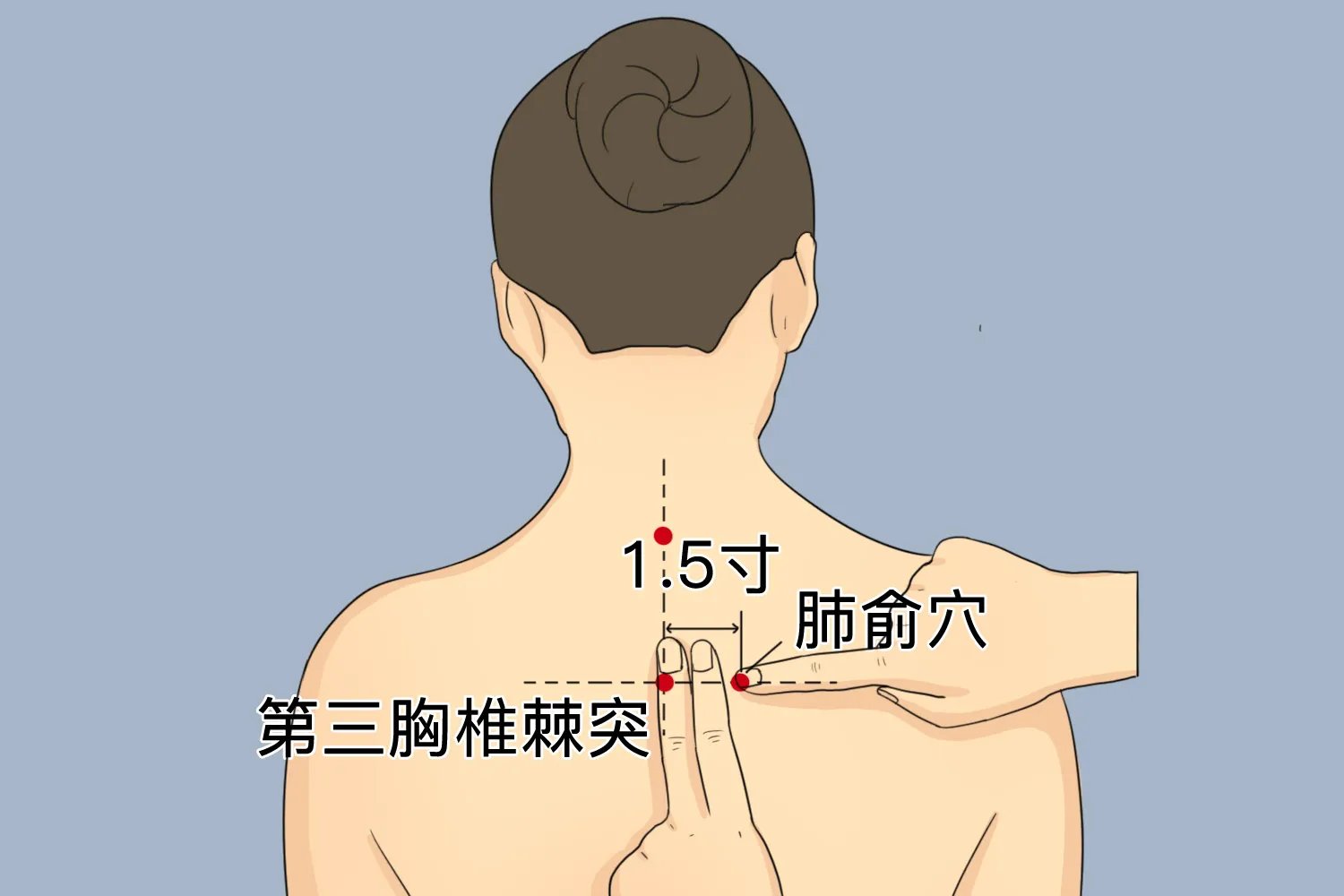 脾虚三伏贴的位置图解