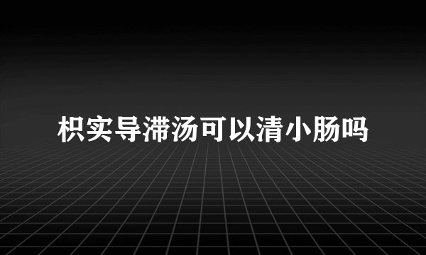 枳实导滞汤可以清小肠吗