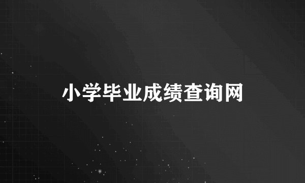 小学毕业成绩查询网