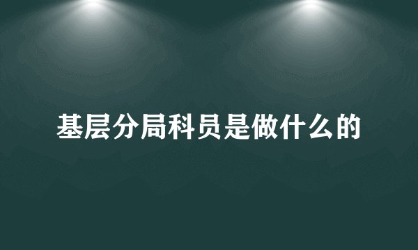 基层分局科员是做什么的