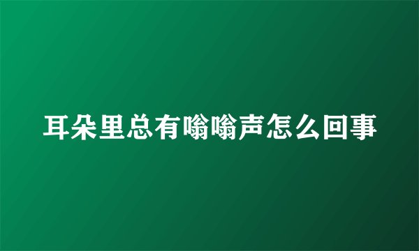 耳朵里总有嗡嗡声怎么回事