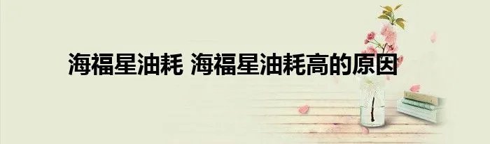 海福星油耗 海福星油耗高的原因