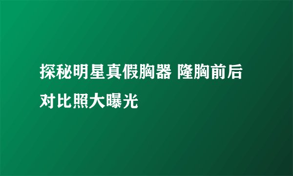 探秘明星真假胸器 隆胸前后对比照大曝光