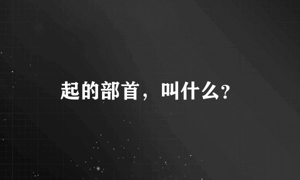 起的部首，叫什么？