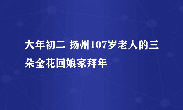 大年初二 扬州107岁老人的三朵金花回娘家拜年