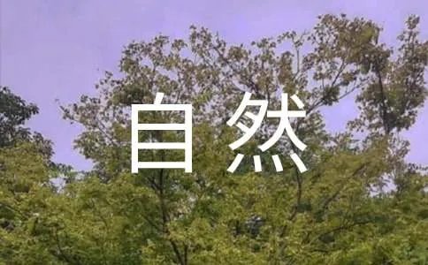 回归自然的作文