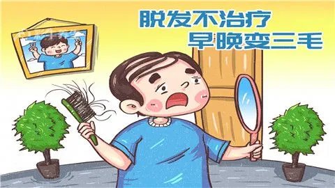 雄激素性脱发的原因