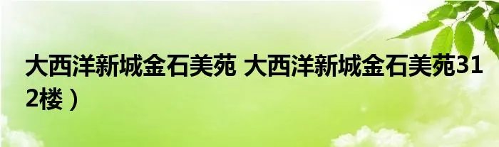 大西洋新城金石美苑 大西洋新城金石美苑312楼）
