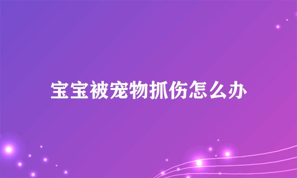 宝宝被宠物抓伤怎么办
