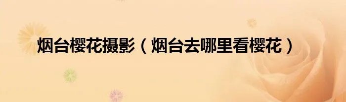 烟台樱花摄影（烟台去哪里看樱花）