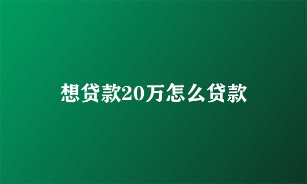 想贷款20万怎么贷款