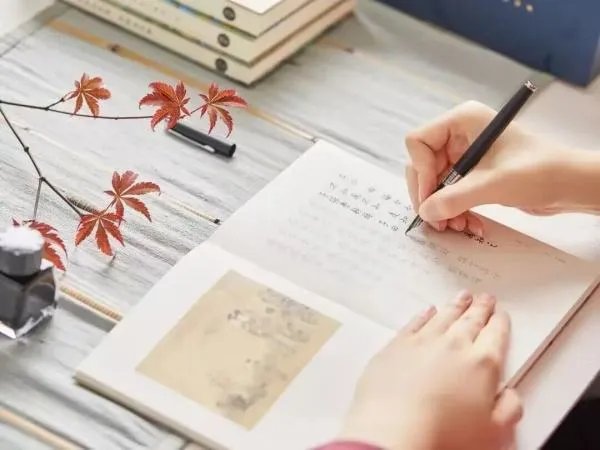 抄书的拼音