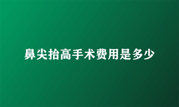 鼻尖抬高手术费用是多少