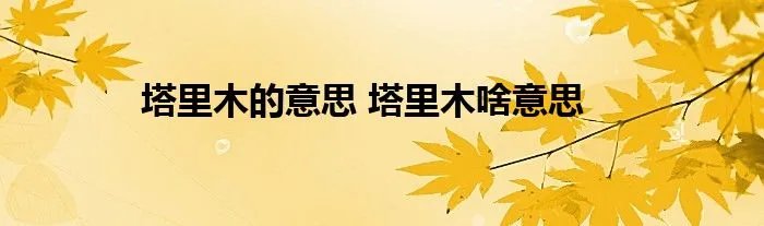 塔里木的意思 塔里木啥意思