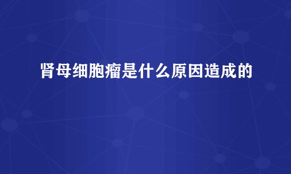 肾母细胞瘤是什么原因造成的