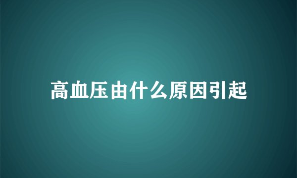 高血压由什么原因引起