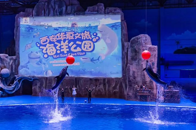 西安海洋馆有哪些 西安海洋公园名单大全 西安著名的海洋馆推荐