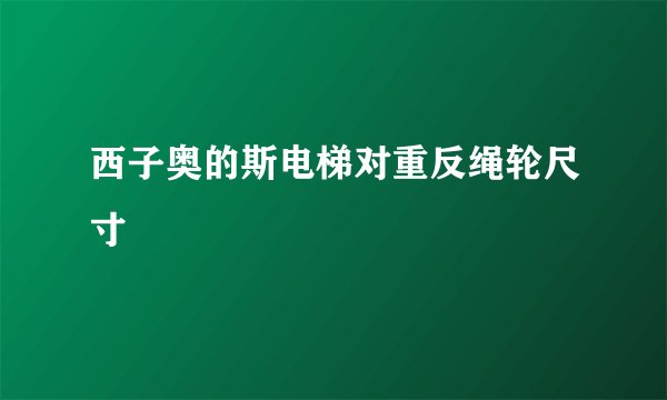 西子奥的斯电梯对重反绳轮尺寸
