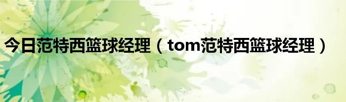 今日范特西篮球经理（tom范特西篮球经理）