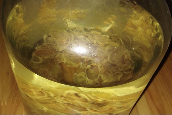 鹿茸如何食用