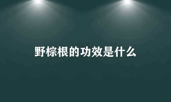 野棕根的功效是什么