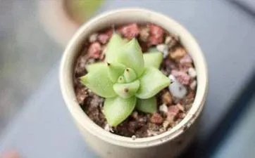 2022年5月25日五行穿衣指南 今日招桃花幸运颜色