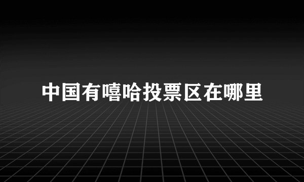 中国有嘻哈投票区在哪里