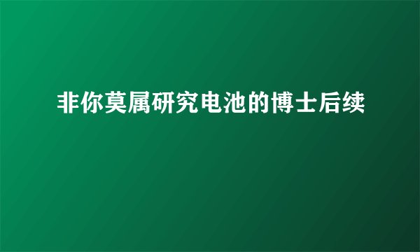 非你莫属研究电池的博士后续