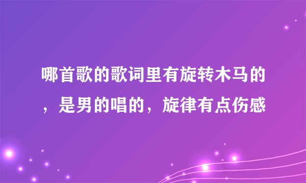哪首歌的歌词里有旋转木马的，是男的唱的，旋律有点伤感