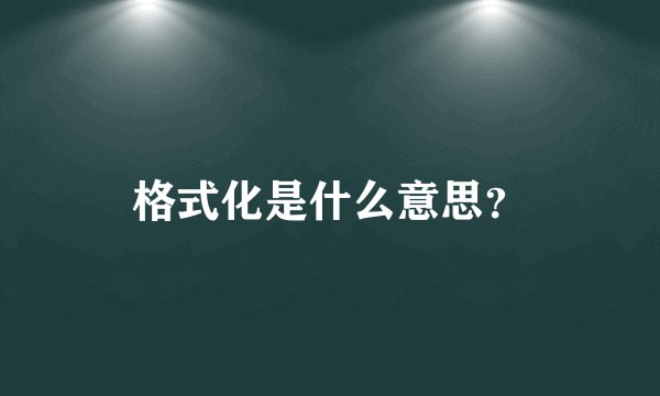 格式化是什么意思？
