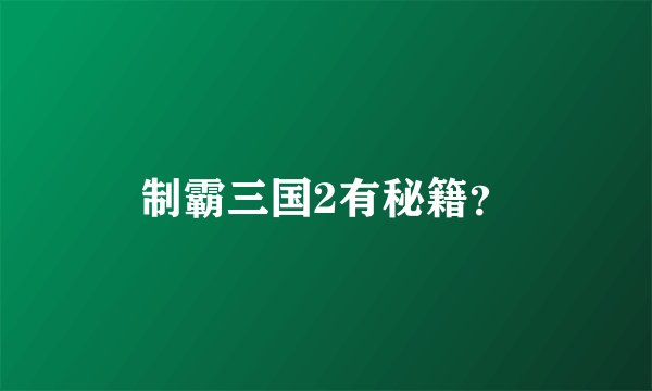 制霸三国2有秘籍？
