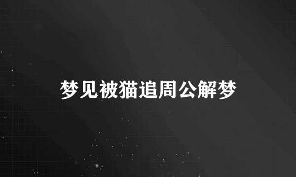 梦见被猫追周公解梦
