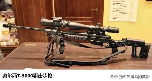 俄罗斯sso是什么部队