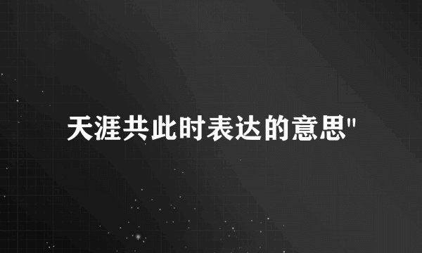天涯共此时表达的意思