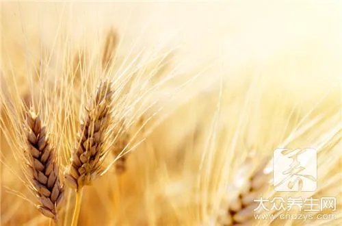 小麦胚芽怎么提取呢？